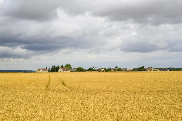 Paysage en France (Centre ) — Photo