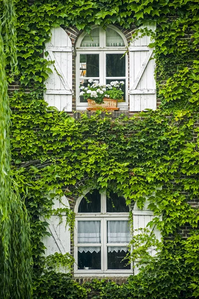 Pont-Tranchefetu — Stock Photo, Image