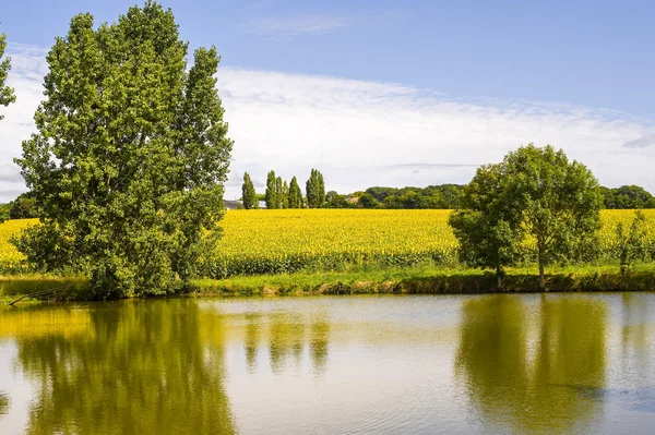 Countryside near Le Mans — Stock Photo, Image