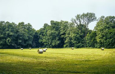Monza Park