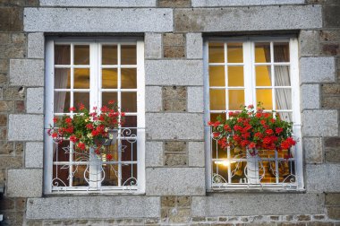 gorron - windows ve çiçekler