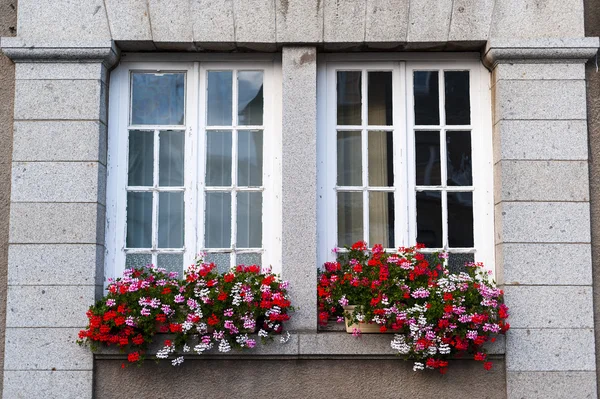 Gorron - Windows and flowers — Stock Photo, Image