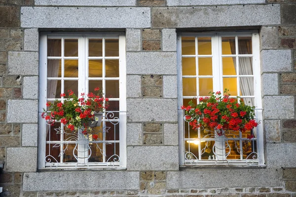 gorron - windows ve çiçekler