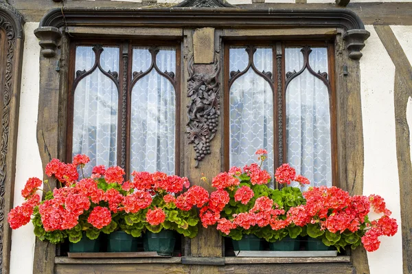 Flowered window of old house in Normandy — Stock Photo, Image