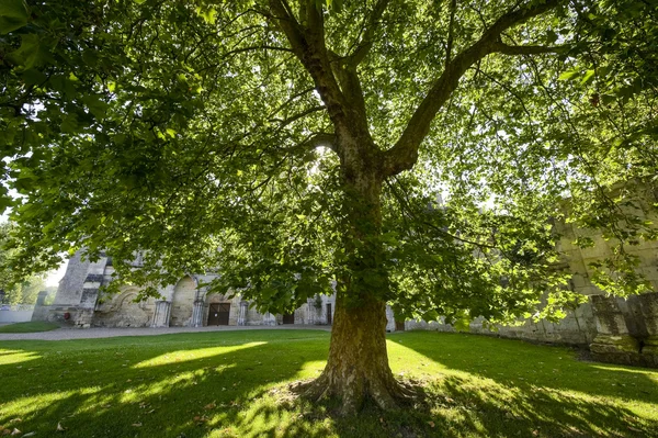 Abtei von longpont (picardie)) — Stockfoto