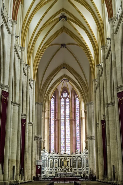 Toul - Wnętrze katedry — Zdjęcie stockowe