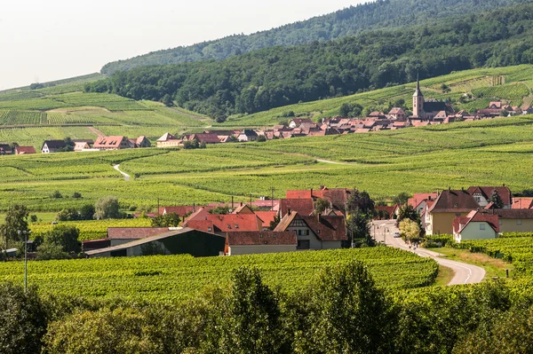 Itterswiller (Elsass) - panorama — Stockfoto