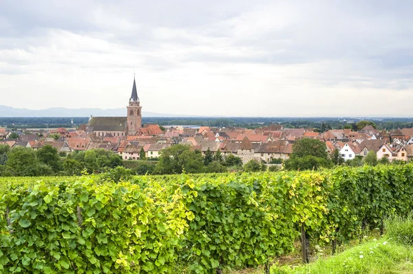 Bergheim (Alsace) - Panorama med vingård — Stockfoto