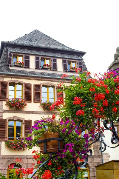Bergheim (Alzacja) - dom i kwiaty — Zdjęcie stockowe
