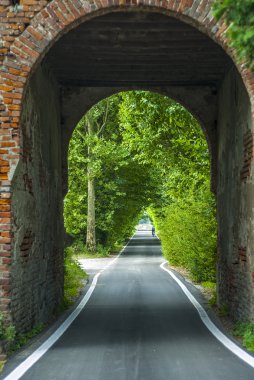 arch İtalya üzerinden yol