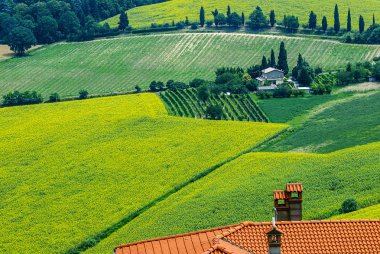 Romagna içinde yazlık manzara