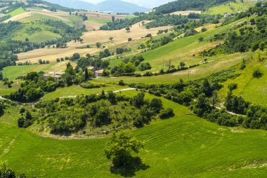yürüyüşleri peyzaj