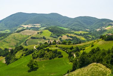yürüyüşleri peyzaj