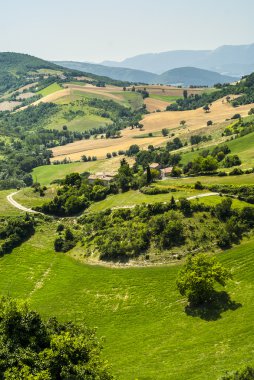 yürüyüşleri peyzaj