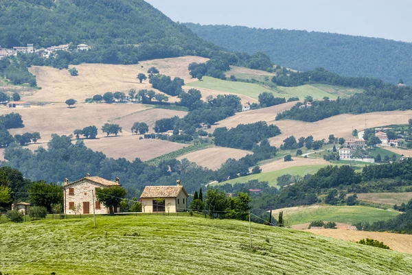 Marches Landscape — Stock Photo, Image