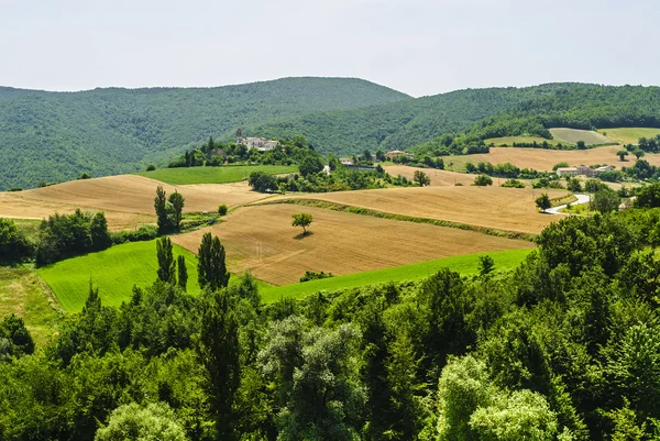 Märsche — Stockfoto