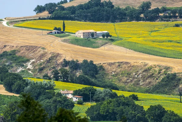 Marches (Italy), landscape — Stock Photo, Image