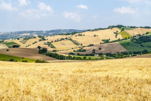 Marcas (Italia), paisaje — Foto de Stock