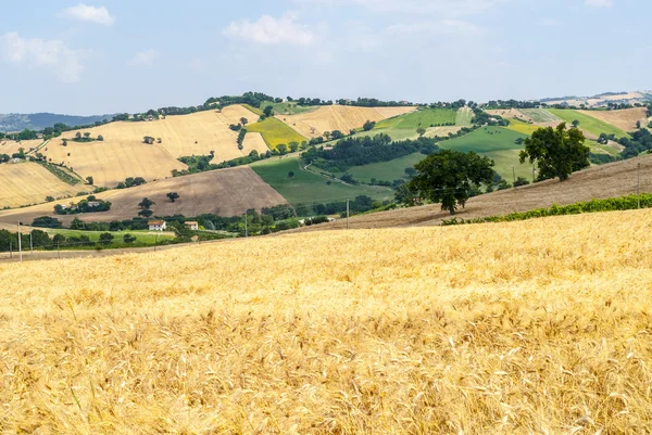 Marches (Italy), landscape — Stock Photo, Image