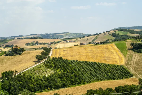 Marscher (Italien), landskap — Stockfoto