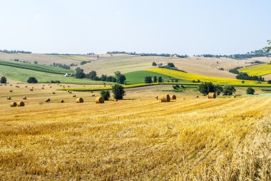 Yaz yürüyüşleri manzaraya