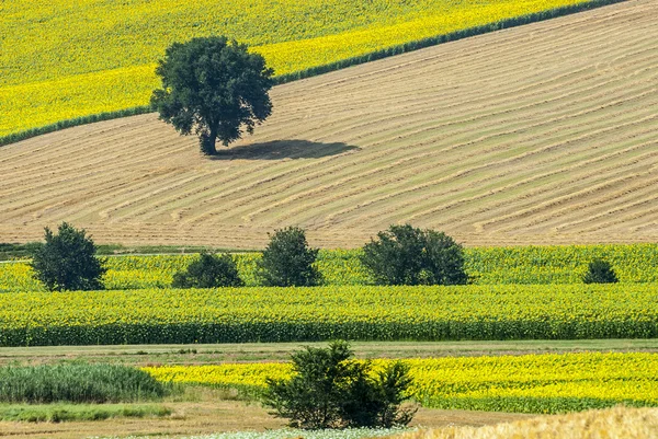 Marche (Włochy), krajobraz — Zdjęcie stockowe