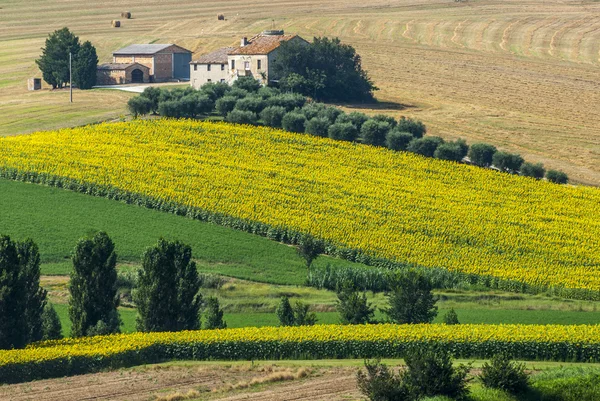 Yürüyüşleri (İtalya) - çiftlik — Stok fotoğraf
