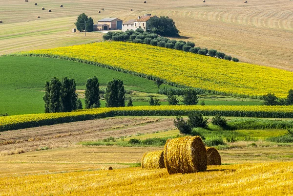游行 (意大利)-农场 — 图库照片