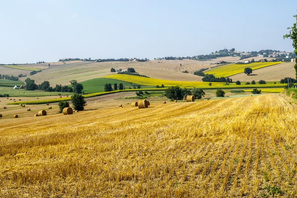 Märsche (Italien), Landschaft — Stockfoto