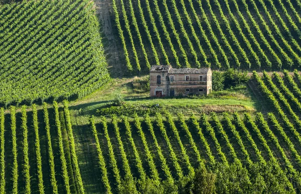 Boerderij in Italië — Stockfoto