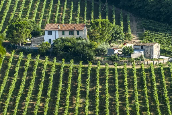 Marches (Italië) - boerderij — Stockfoto