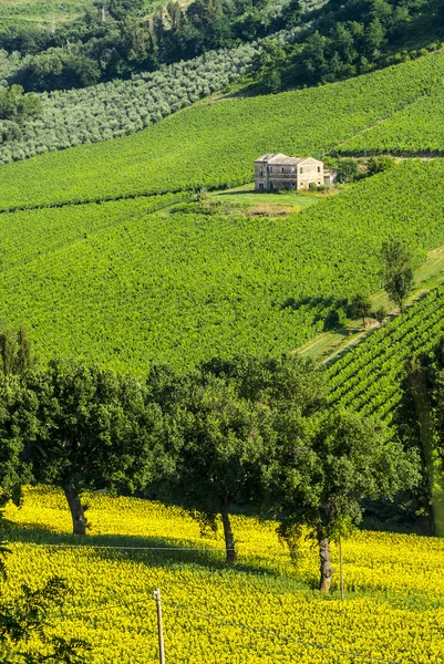 Marscher (Italien), landskap — Stockfoto