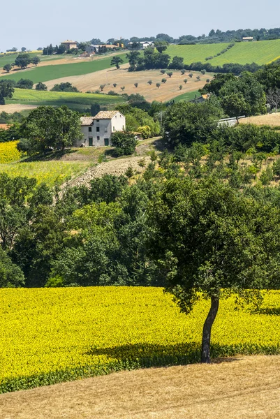 Marsen (Italië), landschap — Stockfoto