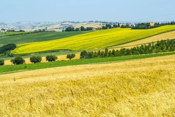 Yürüyüşleri (İtalya), peyzaj — Stok fotoğraf