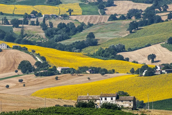 Marches (Italy) - Landscape — Stock Photo, Image