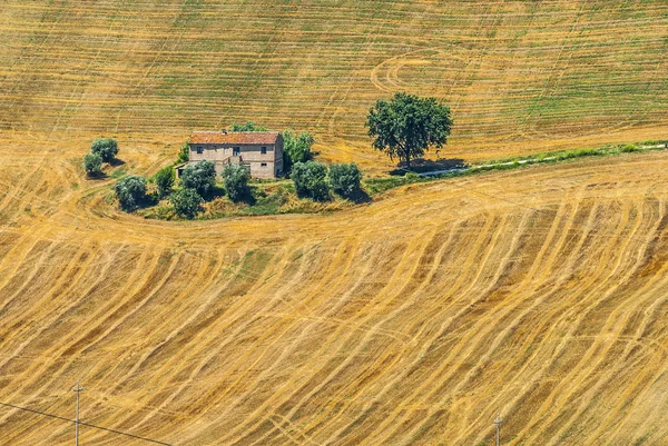 Marches (Italy) - Landscape — Stock Photo, Image