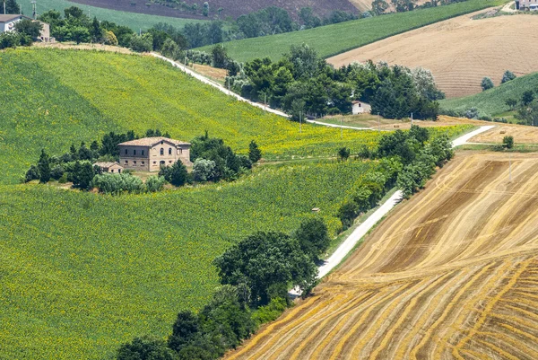 Marches (Italië) - landschap — Stockfoto