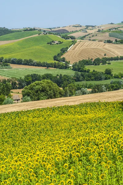 Yürüyüşleri (İtalya) - manzara — Stok fotoğraf