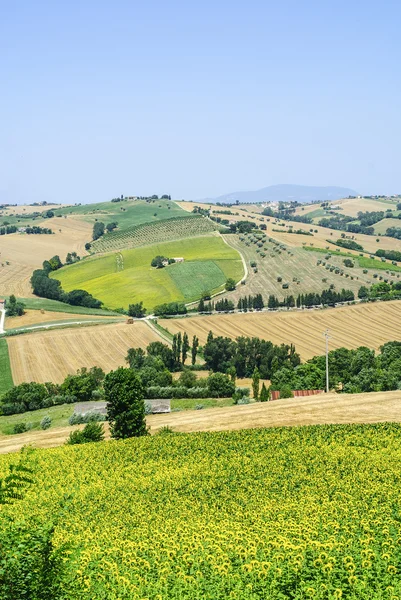 Marches (Italy) - Landscape — Stock Photo, Image