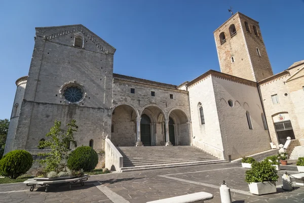 Catedral de Osimo (Ancona ) — Fotografia de Stock