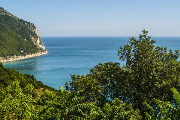 Conero (ancona) - die Küste — Stockfoto