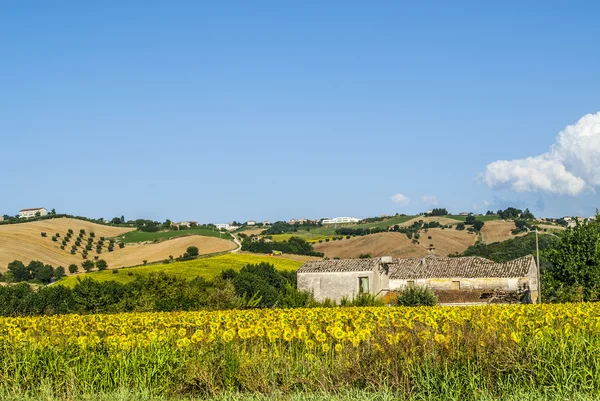 Landscape near Fermo — Stock Photo, Image