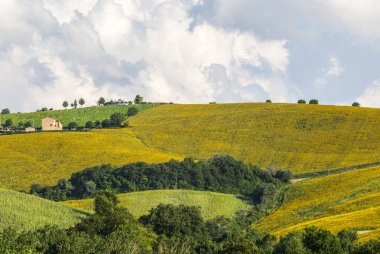 yürüyüşleri (İtalya), peyzaj