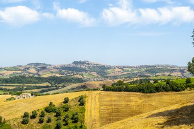 yürüyüşleri peyzaj