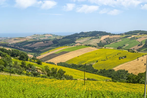 Marches (Italy) - Landscape — Stock Photo, Image