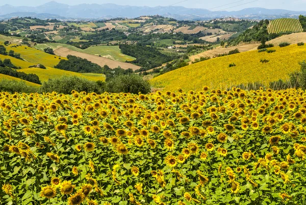 Marchas (Itália), paisagem — Fotografia de Stock