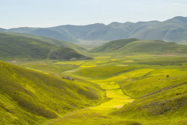 Paisagem de Piano di Castelluccio — Fotografia de Stock