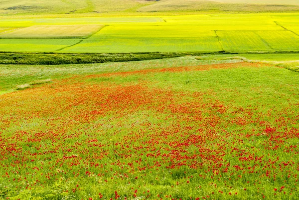 Piyano di castelluccio peyzaj — Stok fotoğraf