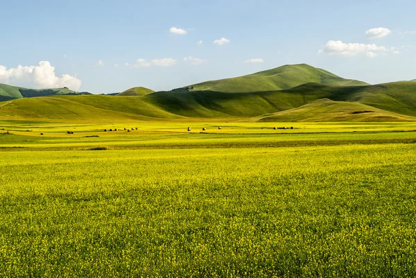 Landskap av piano di castelluccio — Stockfoto