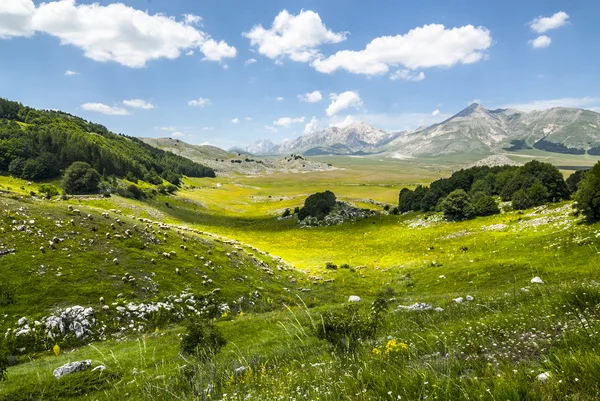 Krajina campo imperatore — Stock fotografie